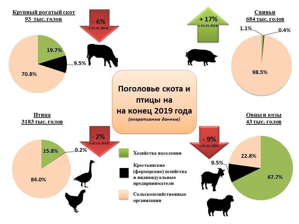 Налог на домашних животных в россии в 2020 году