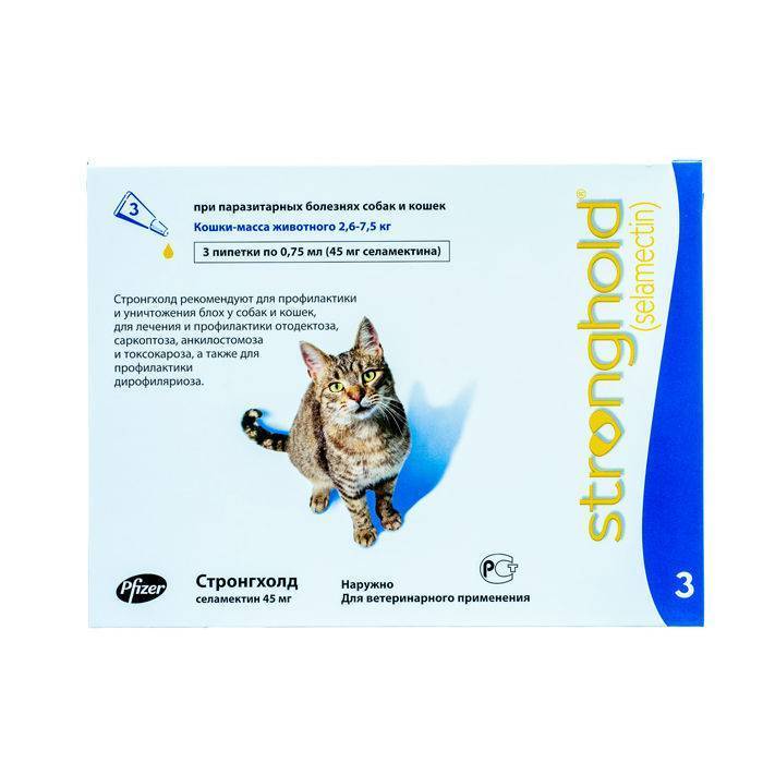 Стронгхолд для кошек: инструкция по применению, назначение и отзывы ветеринаров (105 фото)