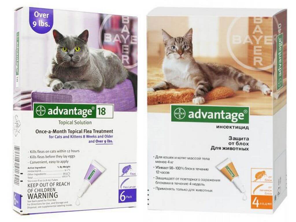 Адвантейдж / advantage (капли) для кошек | отзывы о применении препаратов для животных от ветеринаров и заводчиков