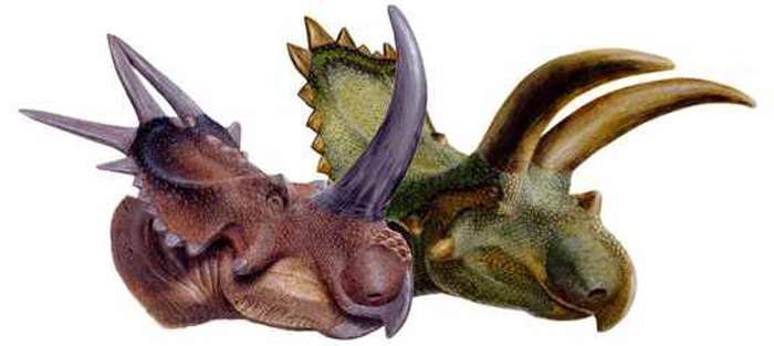 Самый большой раптор — динозавр кровожадного семейства дромеозавридов
