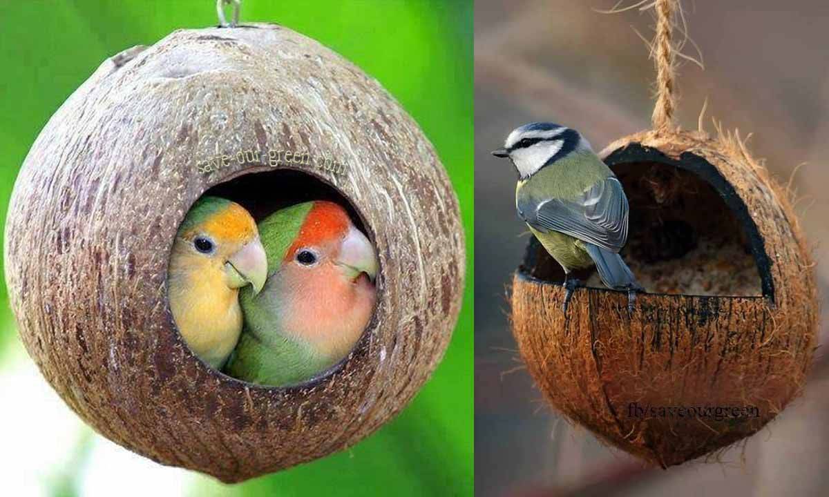 Домик для птиц, из кокоса