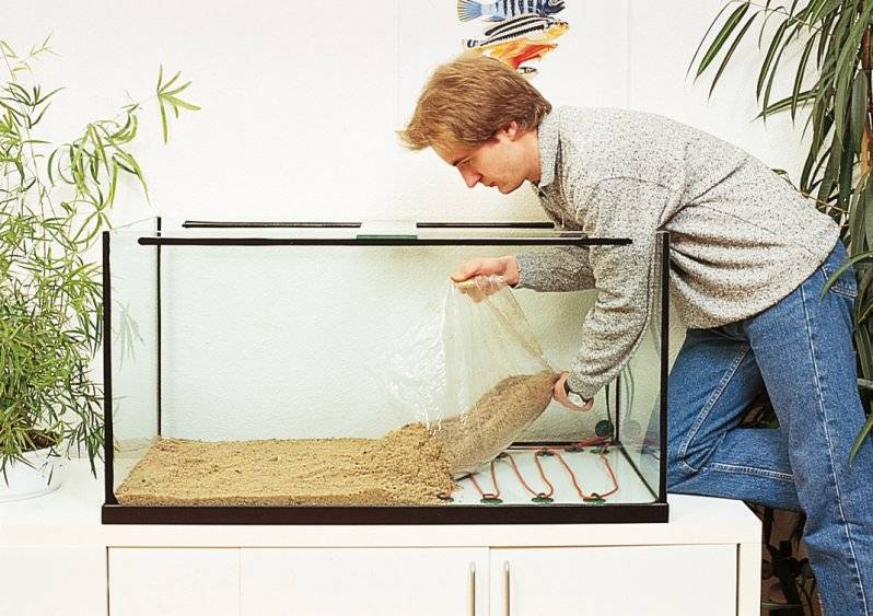 Как очистить камни аквариума от зеленого налета