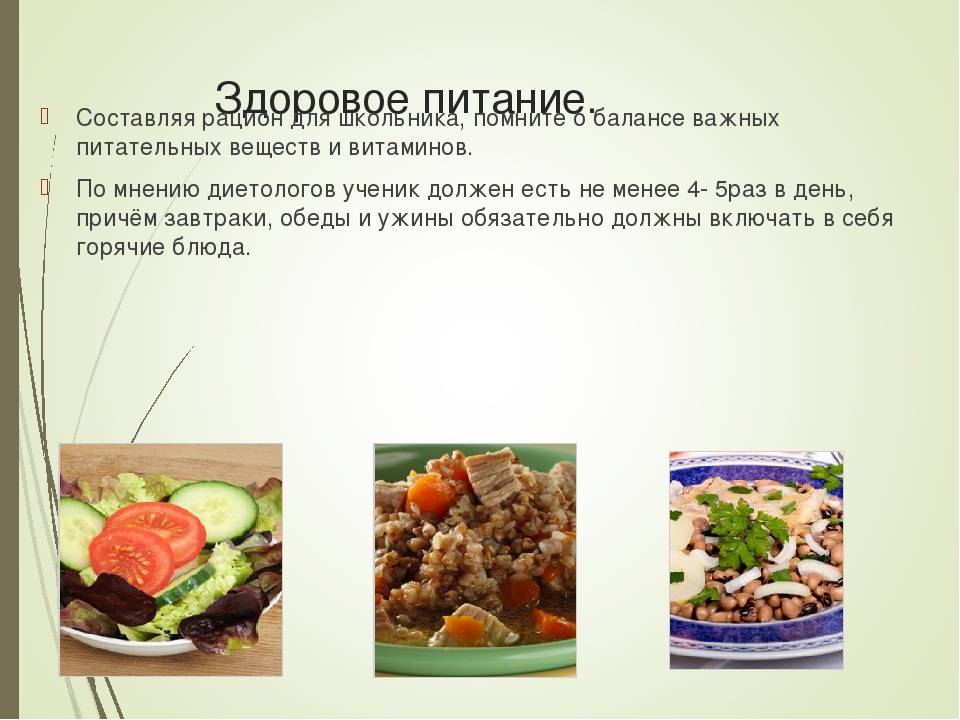 Правильное кормление домашних животных, сухие и корма домашнего приготовления