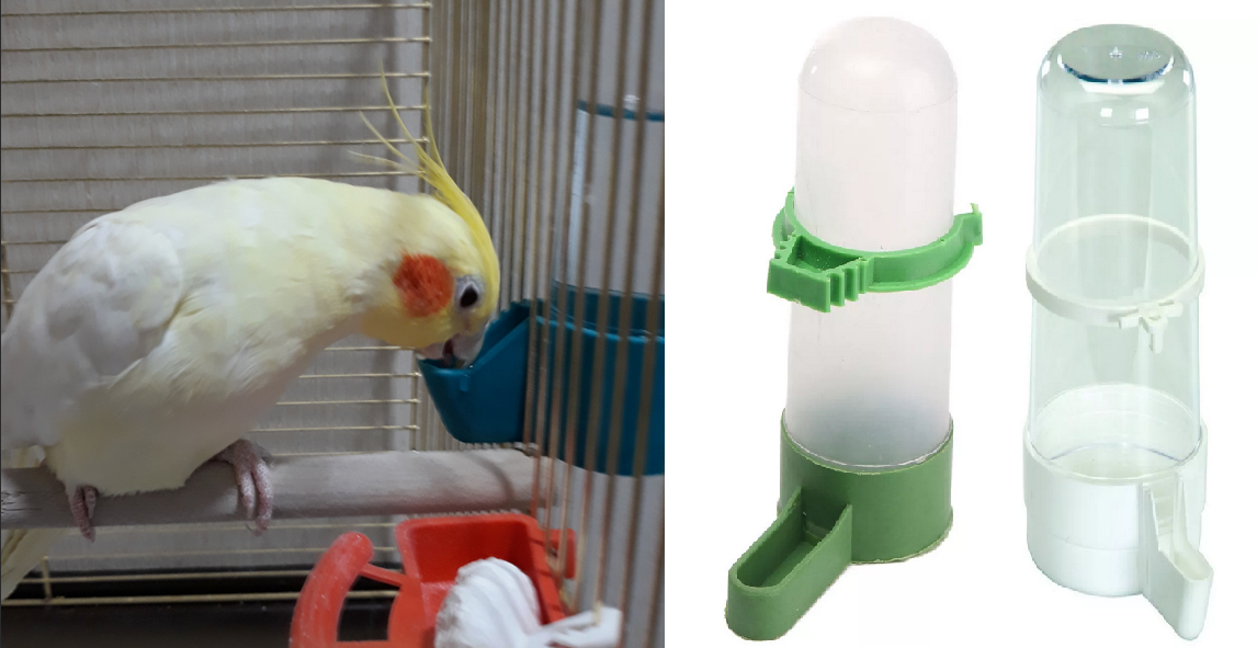 Какую выбрать кормушку для попугая