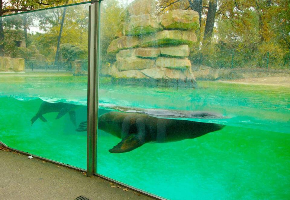 Самые большие зоопарки в мире