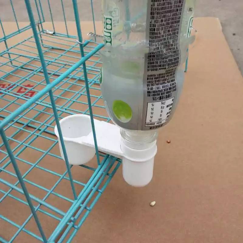 Как сделать поилку для птиц из пластиковой бутылки