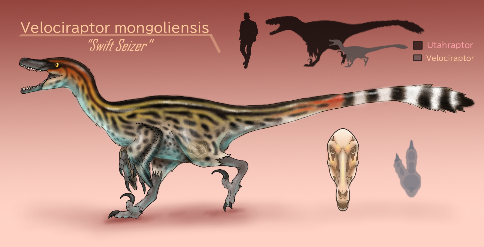 Спинозавр – фото, описание, обнаружение, ареал, рацион, враги
