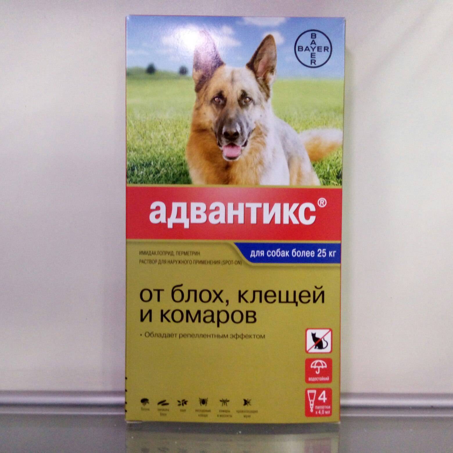 Адвантикс для собак - инструкция по применению, отзывы, цена | petguru