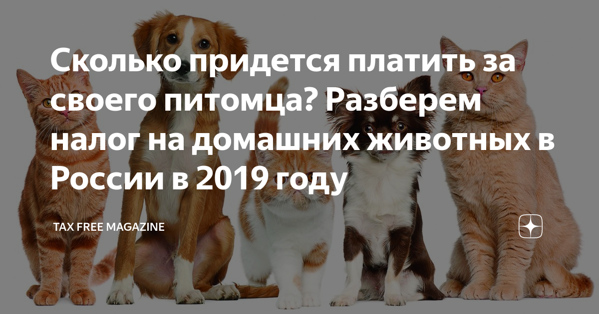 Налог на домашних животных в россии 2020: будет или нет, как будут взыскивать