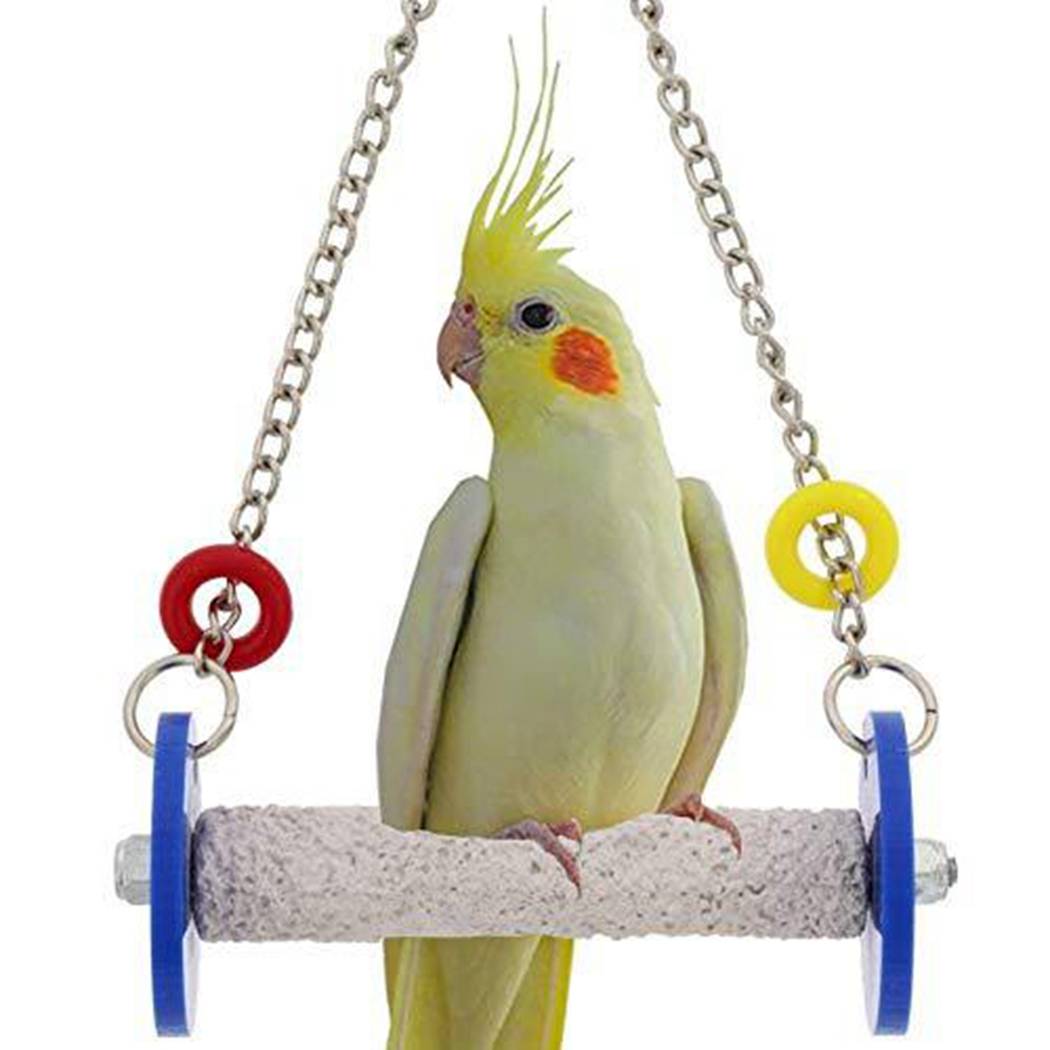 Игрушки для попугаев: волнистых и крупных, как сделать своими руками