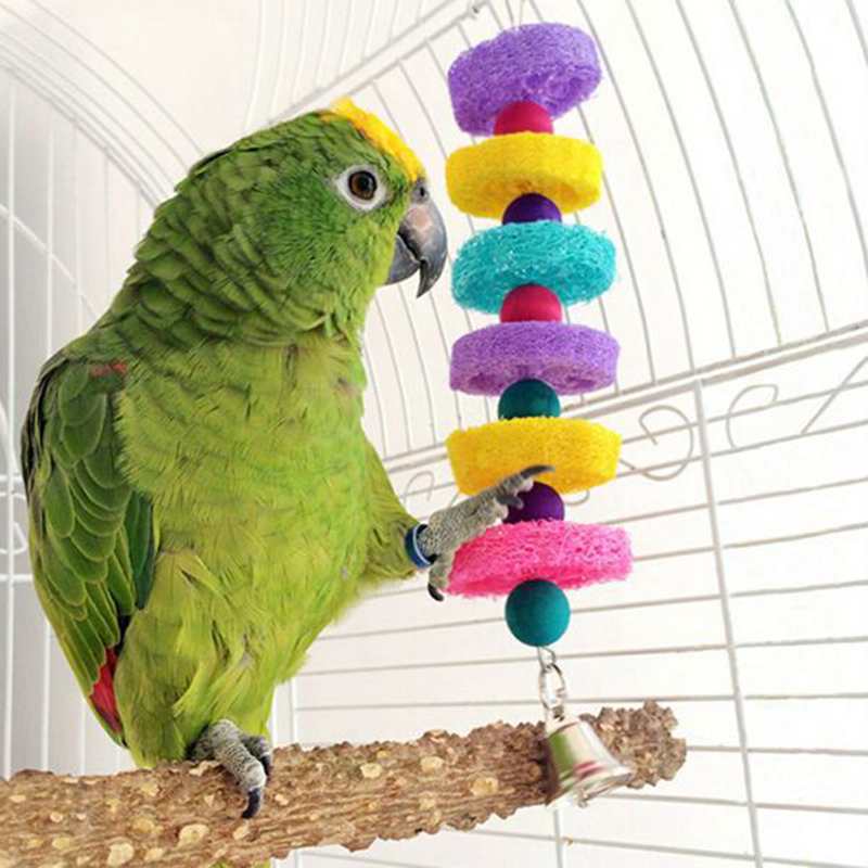 Устраиваем попугаю танцы — идеальная музыка для пернатых