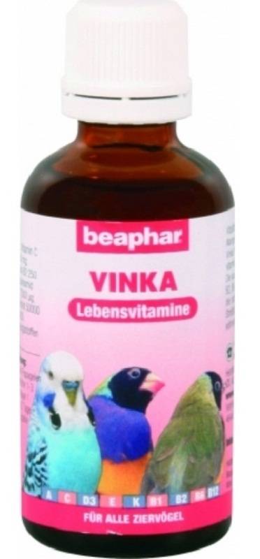 Витамины для попугаев - какие витамины давать волнистым попугаям во время линьки