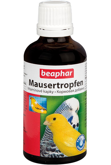Витамины для попугаев: обзор лучших препаратов для пернатых домочадцев