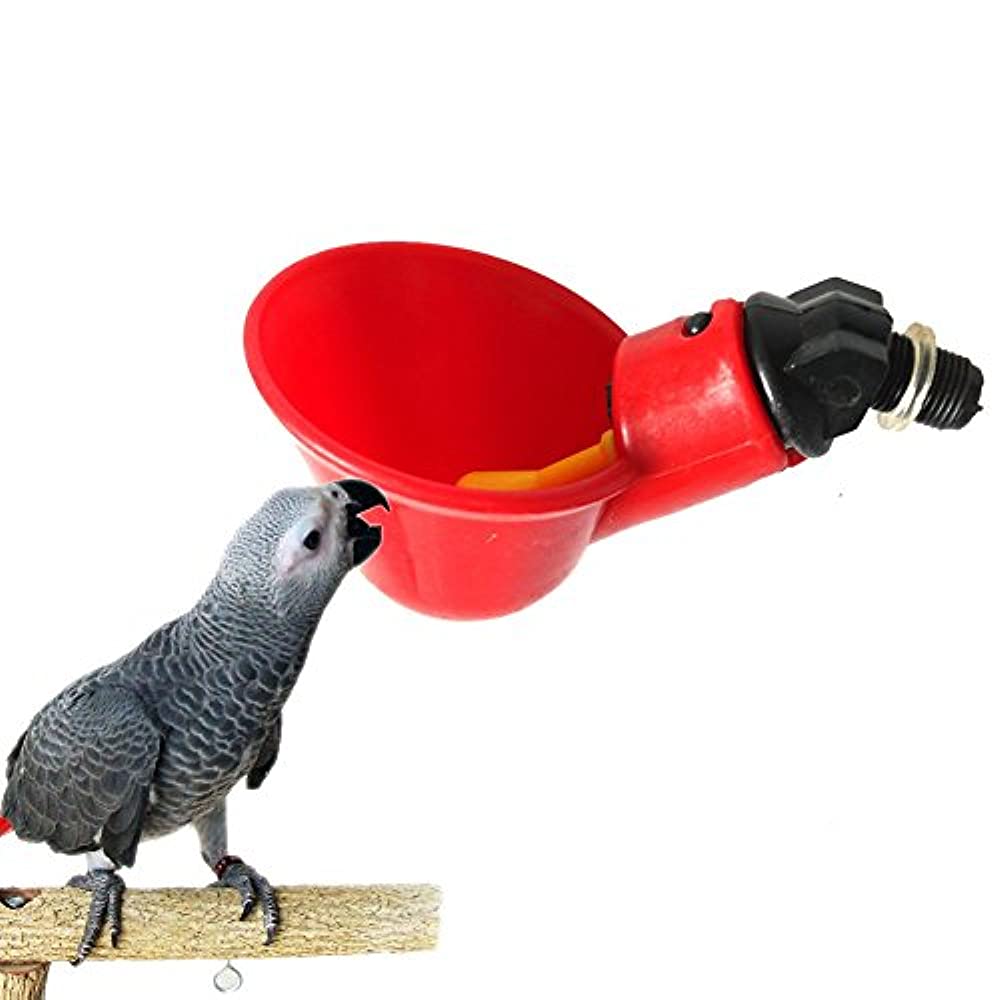Поилка и кормушка для попугаев. изготовление своими руками в домашних условиях