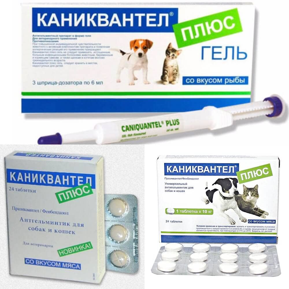 Полная инструкция по применению препарата каниквантел плюс для собак