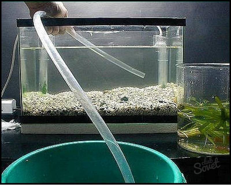 Как часто менять воду в аквариуме и как это делать
как часто менять воду в аквариуме и как это делать