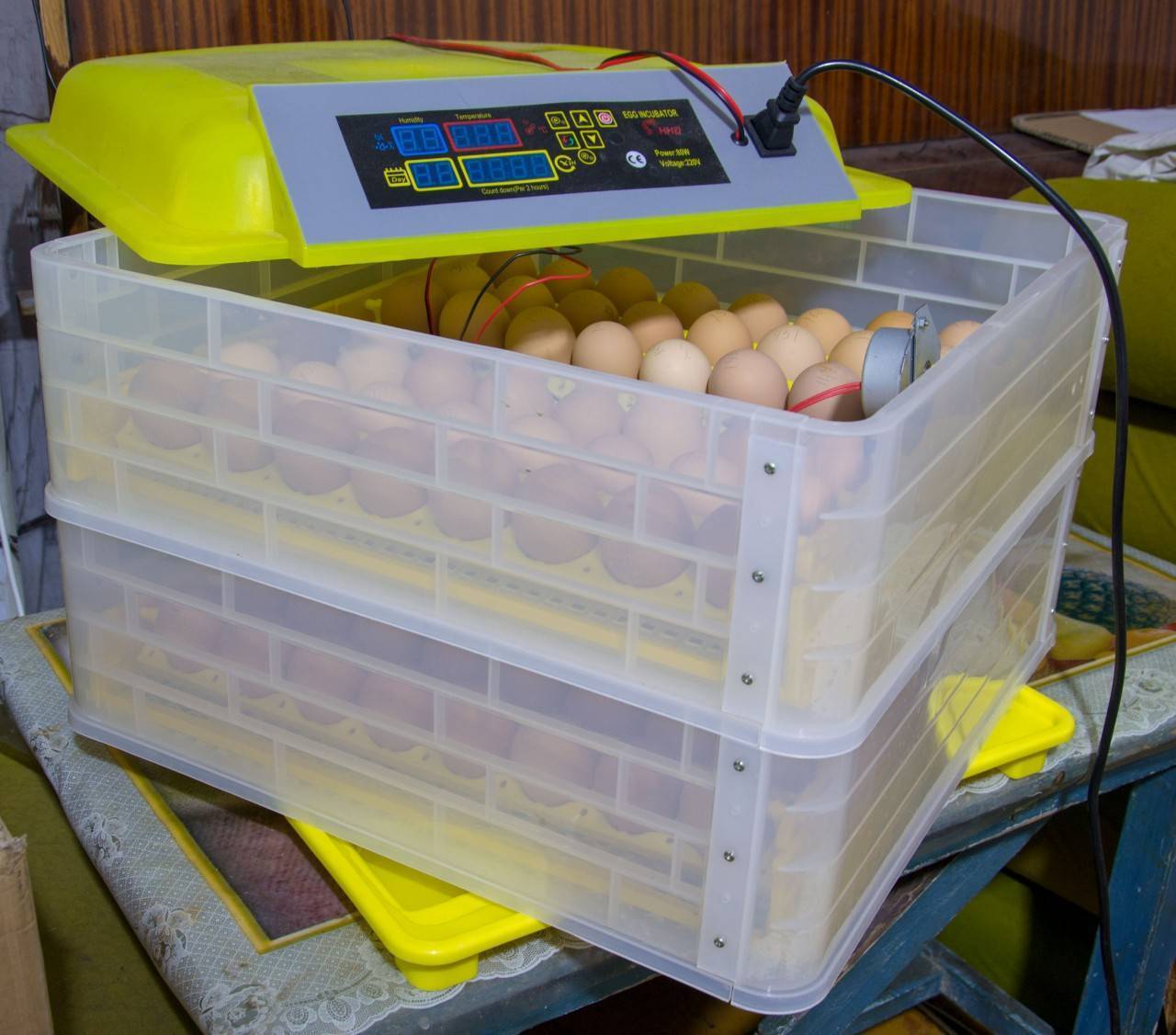 Инкубатор своими руками: как сделать для яиц из холодильника с терморегулятором, схемы, чертежи, фото и видео, изготовление для успешного птицеводства selo.guru — интернет портал о сельском хозяйстве