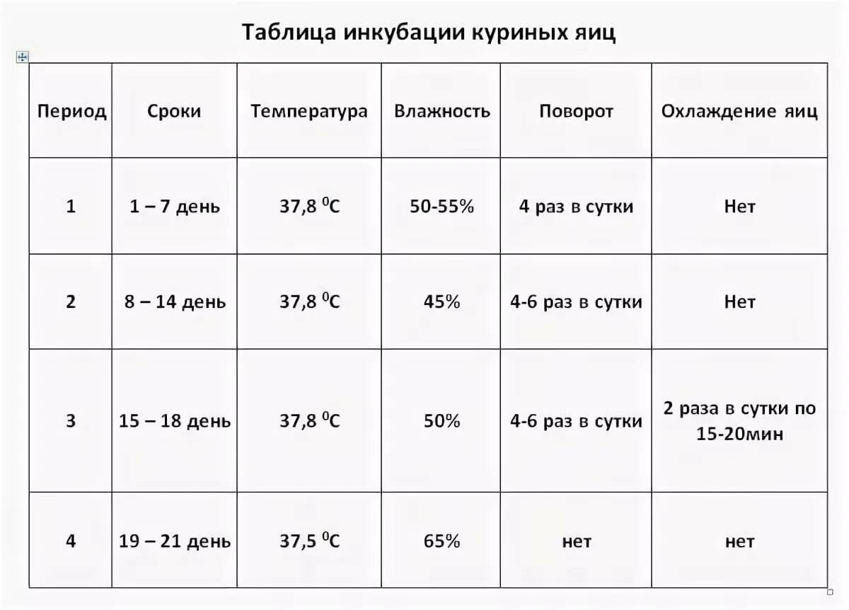 Инкубация куриных яиц - режим инкубации в домашних условиях, температура и влажность, таблица