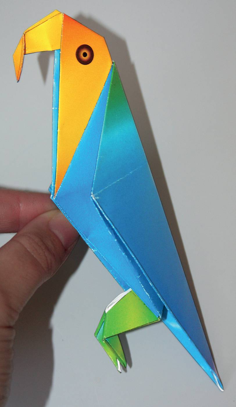 Модульное оригами попугай: схема сборки и пошаговая инструкция
