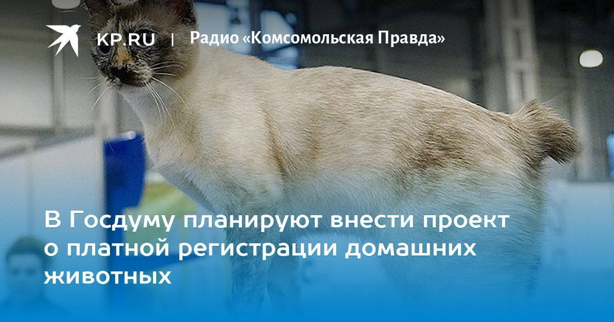 Налог на домашних животных в россии 2021