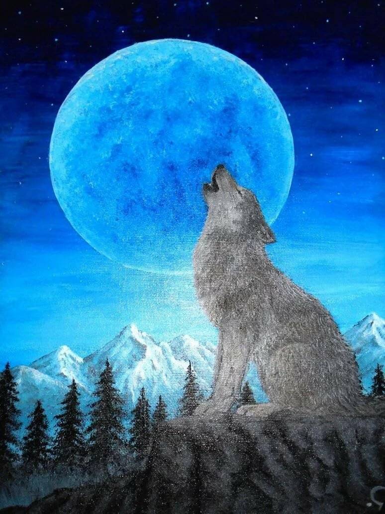 Исследовательская работа "почему волки воют на луну"