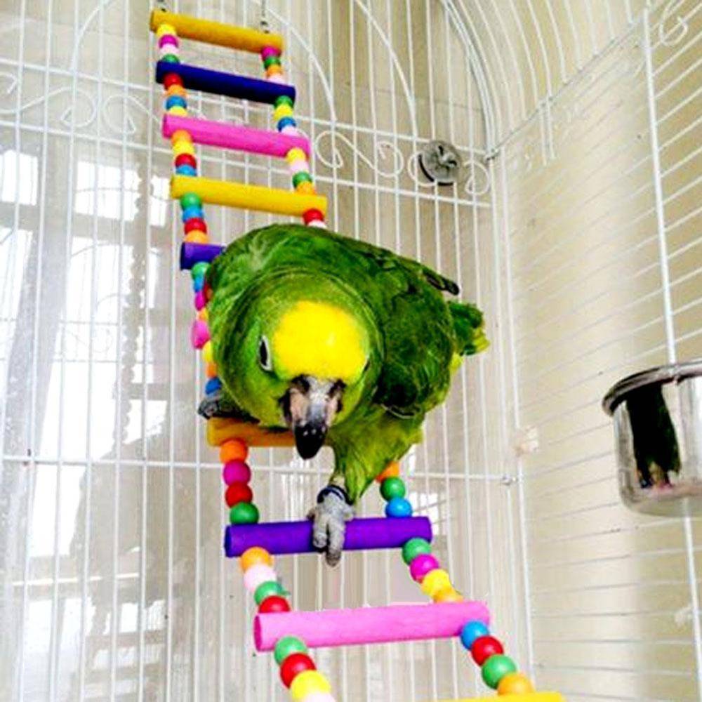 Интересные, забавные игрушки для попугаев волнистых. делаем игрушки своими руками