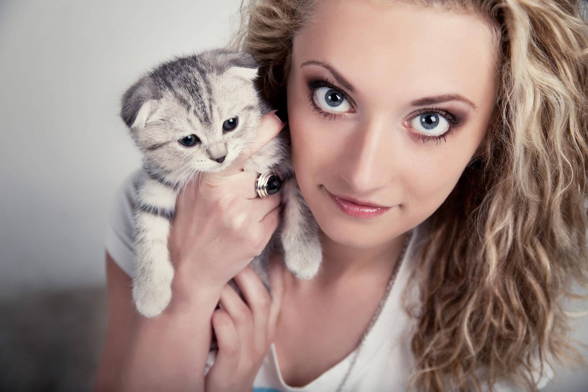 40 фотографий кошек-супермоделей, которые точно знают, как позировать перед камерой