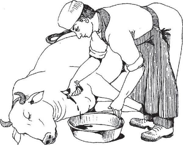 Как разделать свинью: как правильно разрезать, разделать поросенка, забой и разделка. пошаговая инструкция, как разделать поросенка в домашних условиях для начинающих фермеров