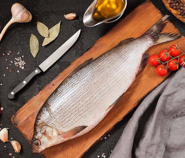 Муксун: свойства рыбы, вред, вкусовые качества, можно ли есть в сыром виде