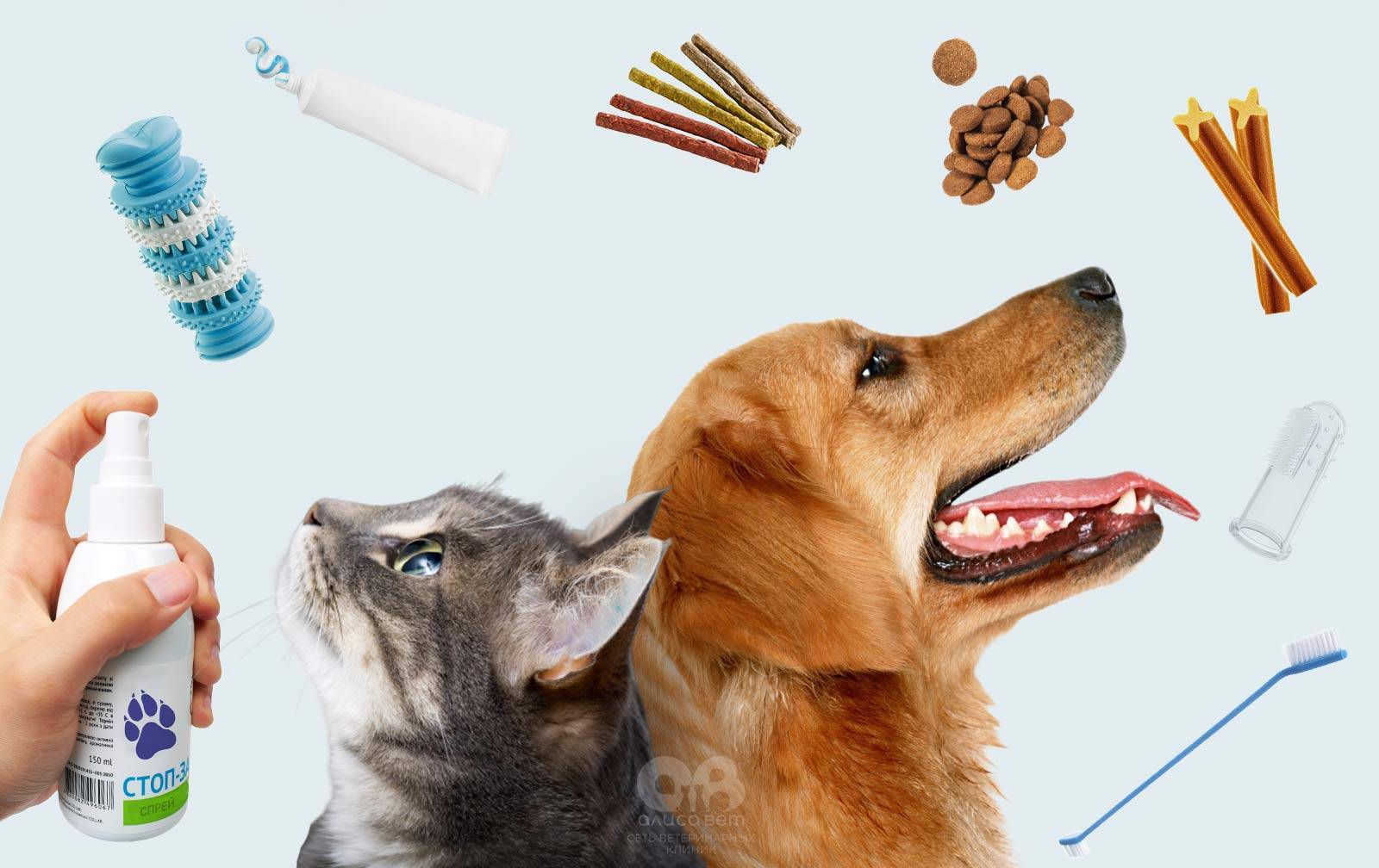 Способы удаления зубного камня у собак в домашних условиях