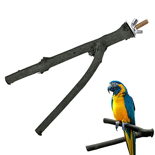 Игрушки для попугаев: из чего и как сделать своими руками