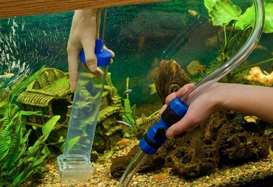 Подмена воды в аквариуме - зачем она нужна?