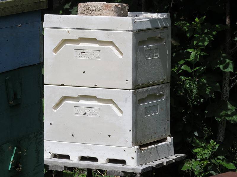 Пчеловодство в ульях из пенополистирола и из изготовление