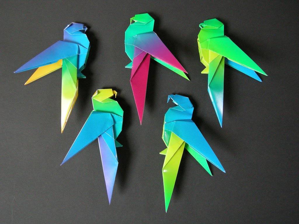 Как сделать из цветного картона попугая