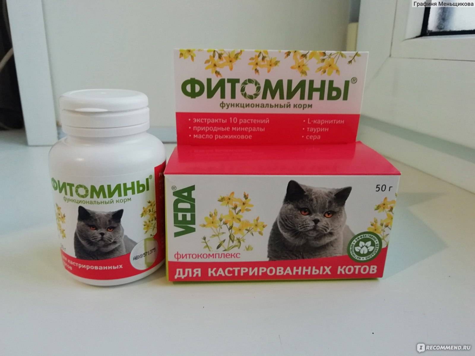 Витамины для кошек:  для шерсти, иммунитета, какие лучше