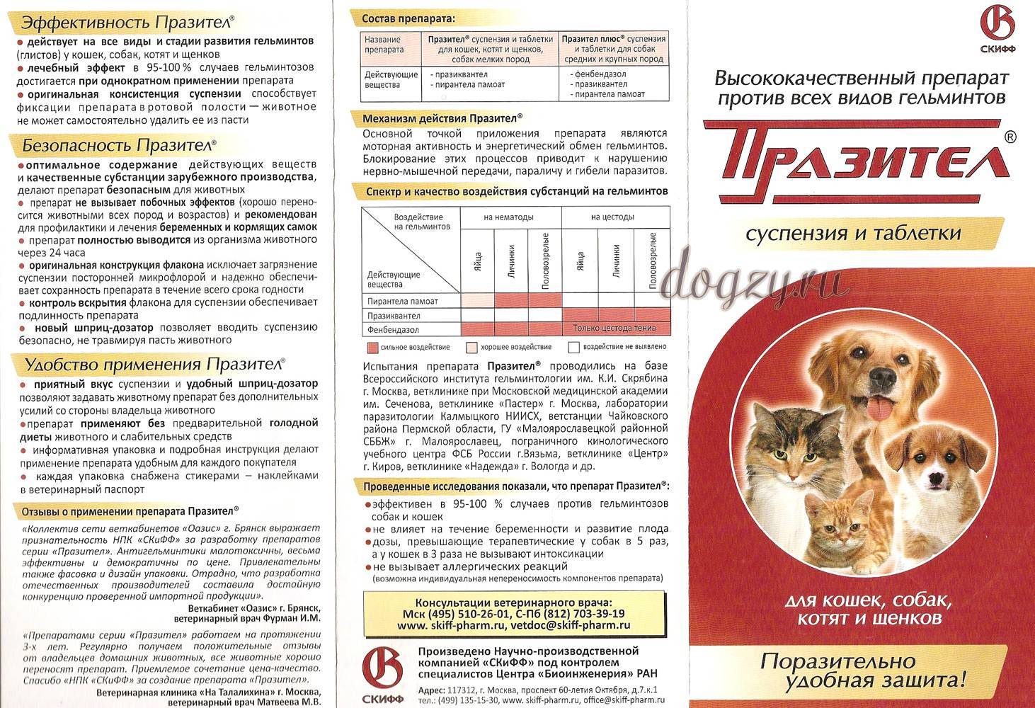 8 лучших обезболивающих для собак: после операции, при онкологии, инструкции по применению - kotiko.ru