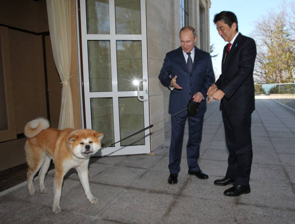 Путин и его собаки
