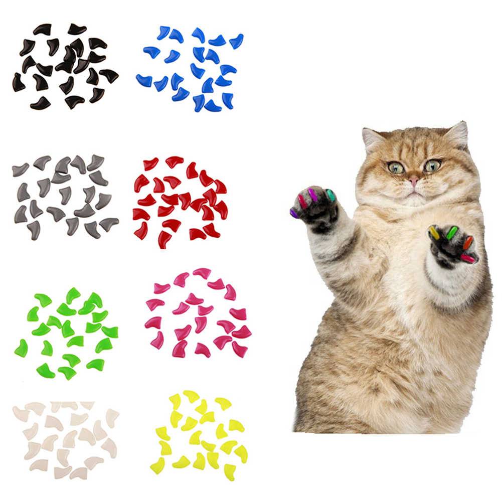 Как клеить ногти кошке (антицарапки): инструкция, плюсы и минусы, рейтинг накладок