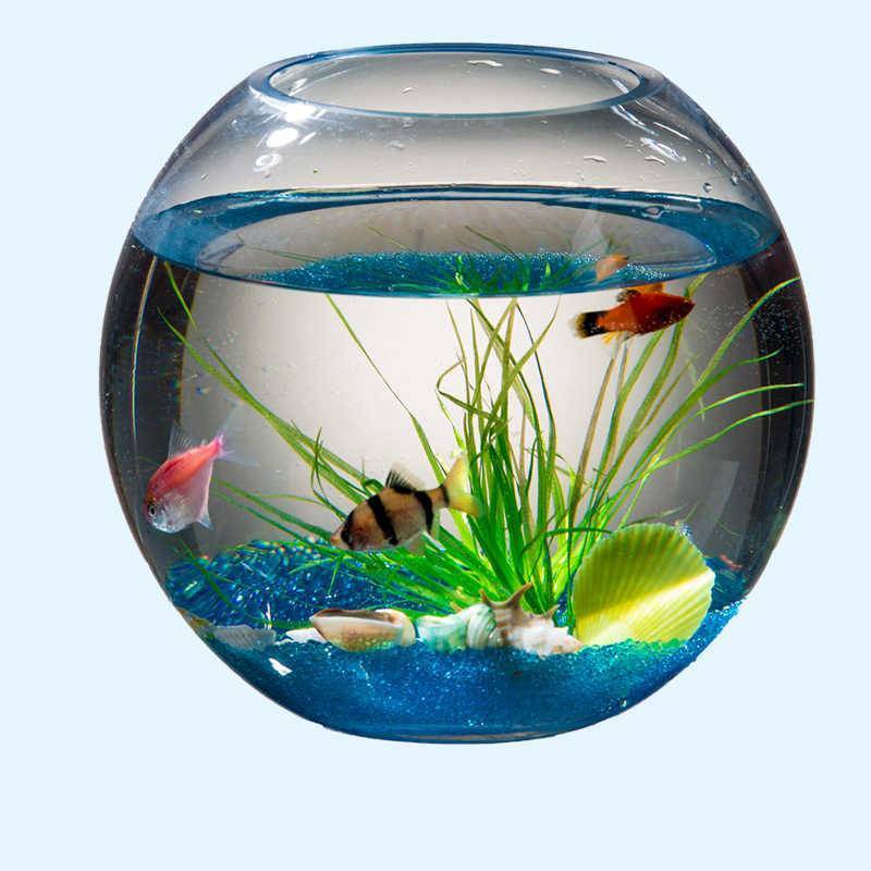 Неприхотливые рыбки и растения для домашнего аквариума: основы аквариумистики