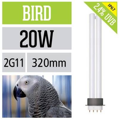 Лампа для попугая: как выбрать и правильно использовать