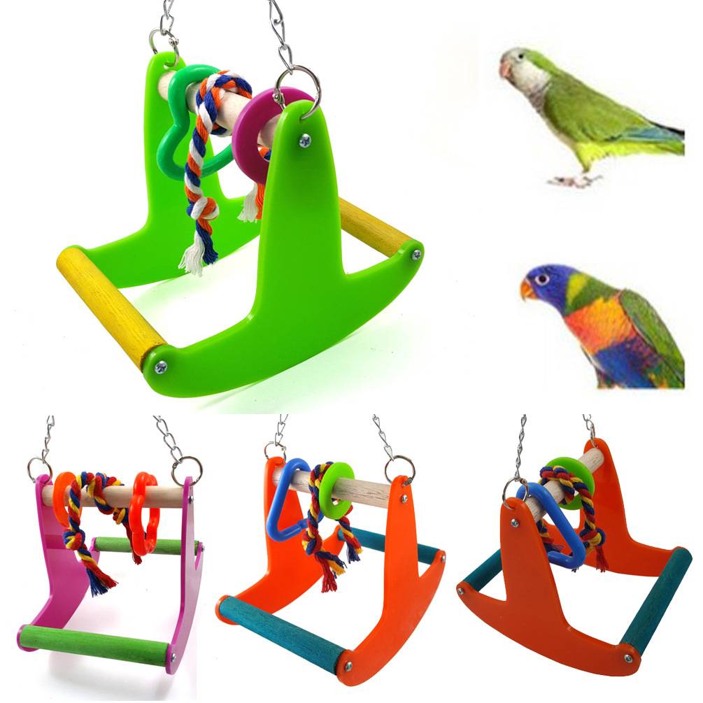 Игрушки для попугаев - зачем они нужны? какие бывают?