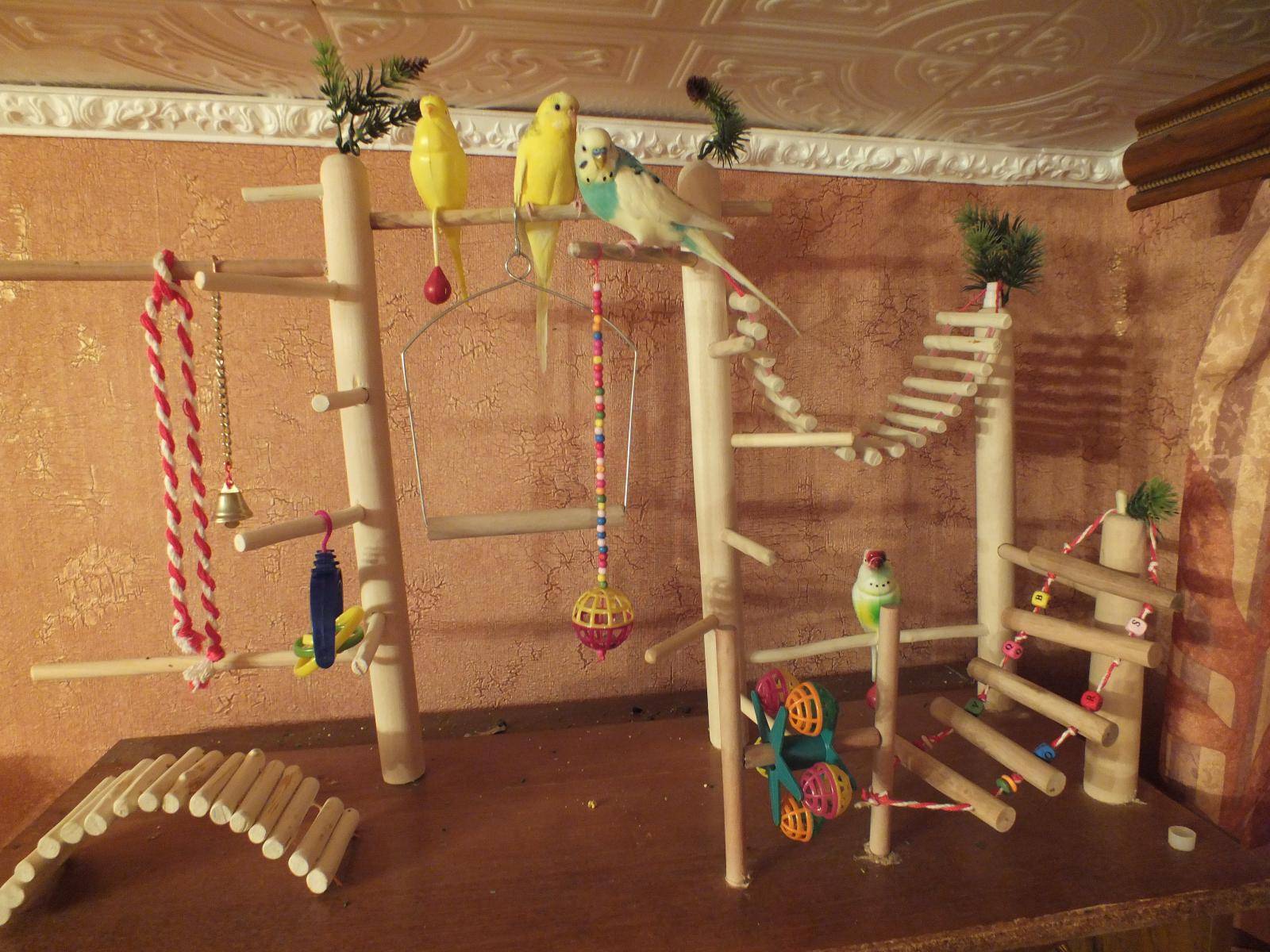 Как сделать игрушки для попугаев своими руками: лесенка, домик, качелька