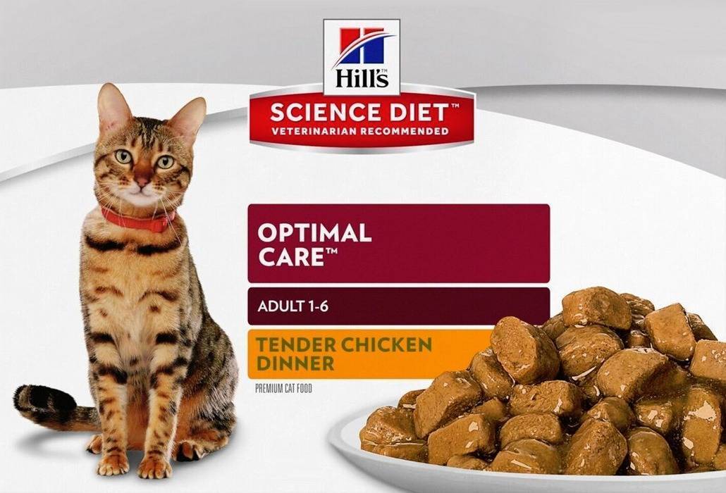 Состав корма для кошек: как выбрать лучший? | hill's pet