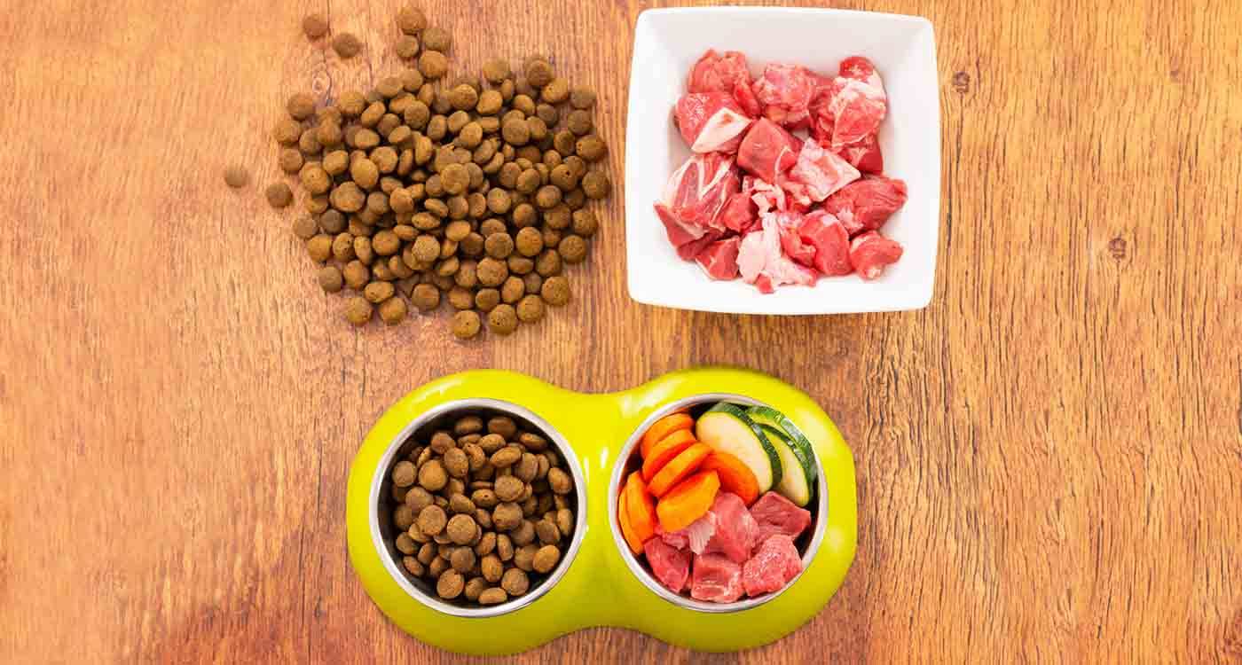 Можно ли собакам сухой корм – польза или вред?