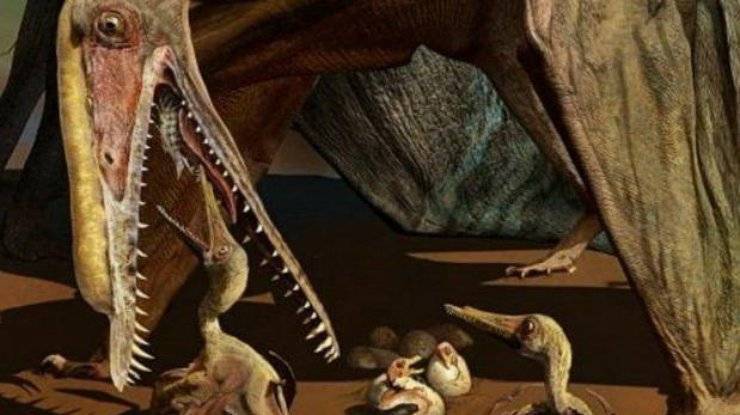Птеродактиль - это птерозавр, а не динозавр. фото, картинки и игрушки ящера