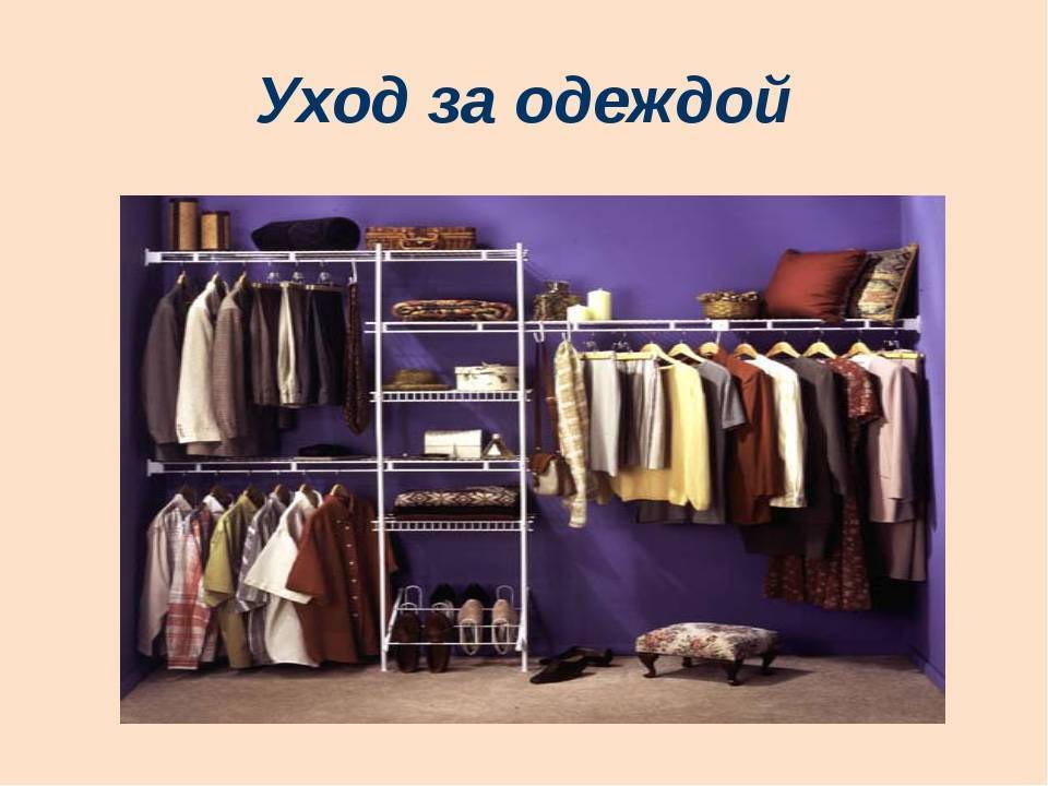 ᐉ как выбрать комбинезон для собаки? - ➡ motildazoo.ru