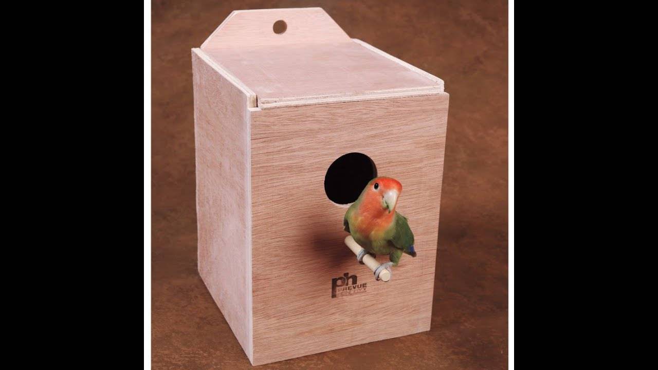 Обустройство гнезда для волнистых попугаев