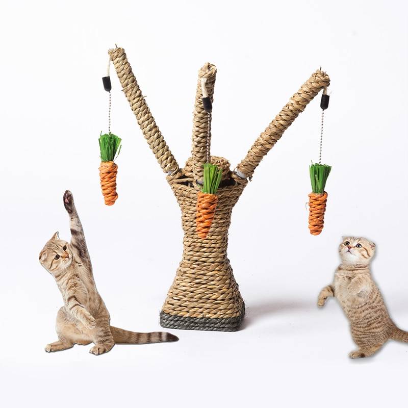 Как сделать игрушки для кошек своими руками (50 фото): идеи, интерактивные, мягкая, мышка