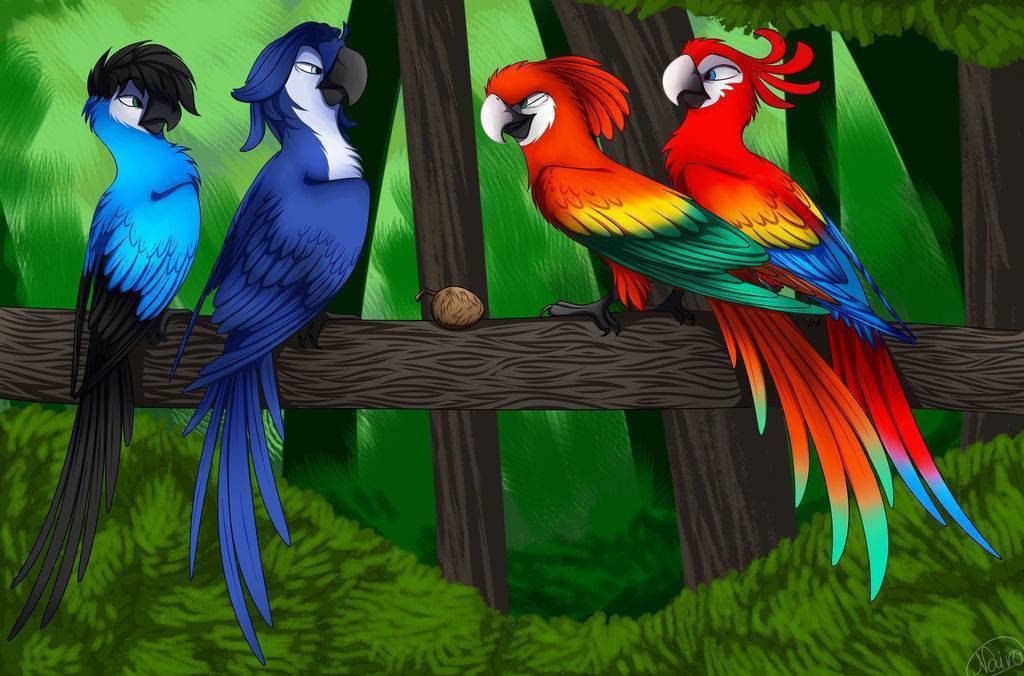 Как нарисовать попугая: пошагово рисуем волнистого попугая своими руками. интересные идеи картинок для начинающих