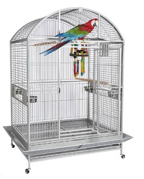 Как обустроить клетку для попугая - что должно быть?